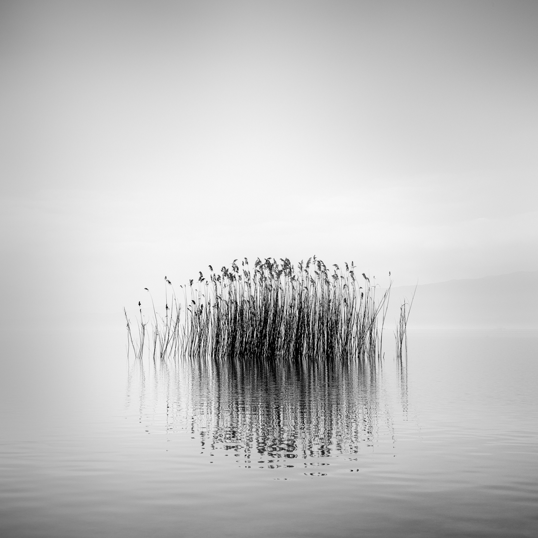 HAIDA SPECIAL AWARD WINNER George Digalakis - Echoing Spaces - International Black and White Photo Awards 2022