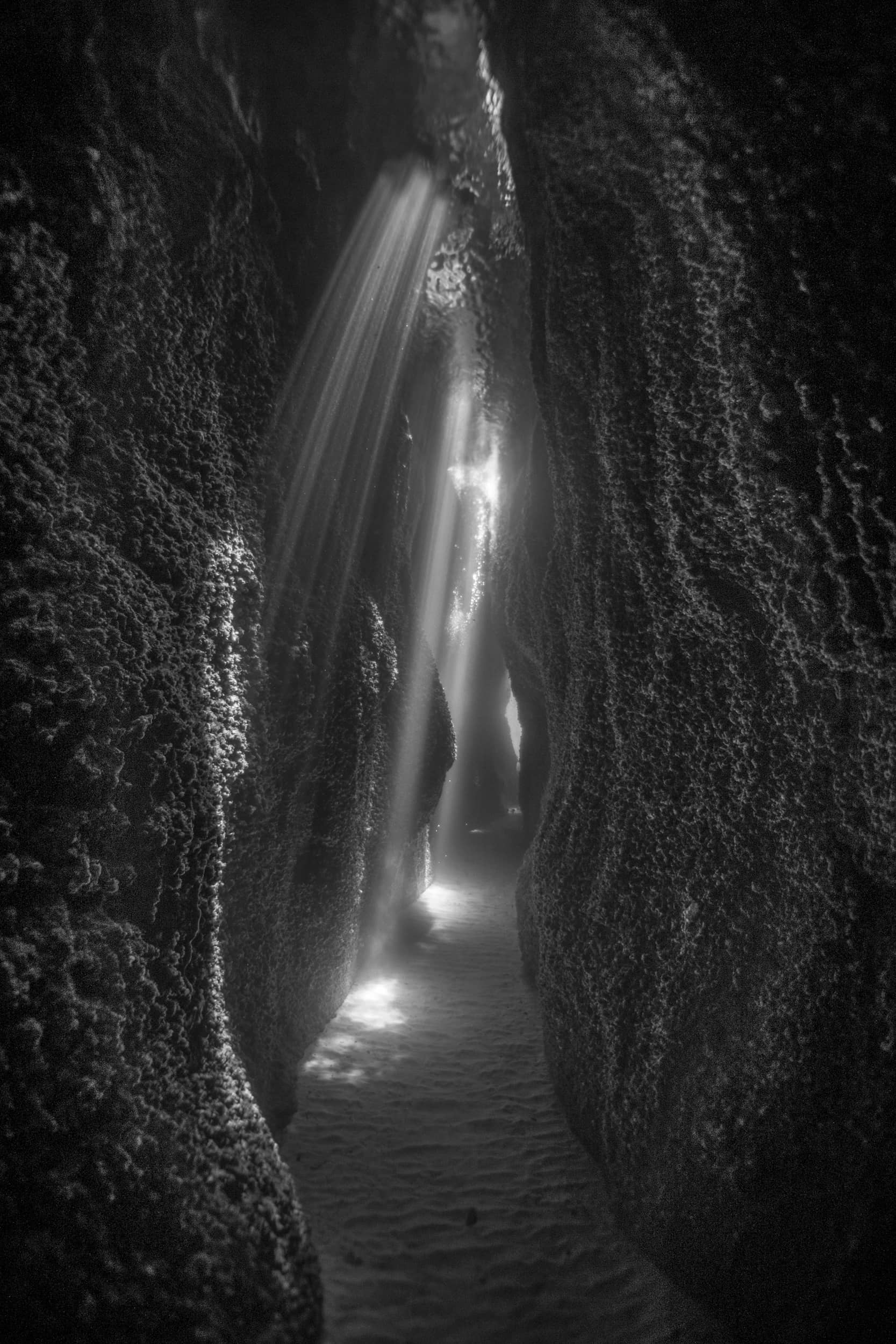 Landscape Silver Mention - Pavlos Evangelidis - Underwater Cathedral