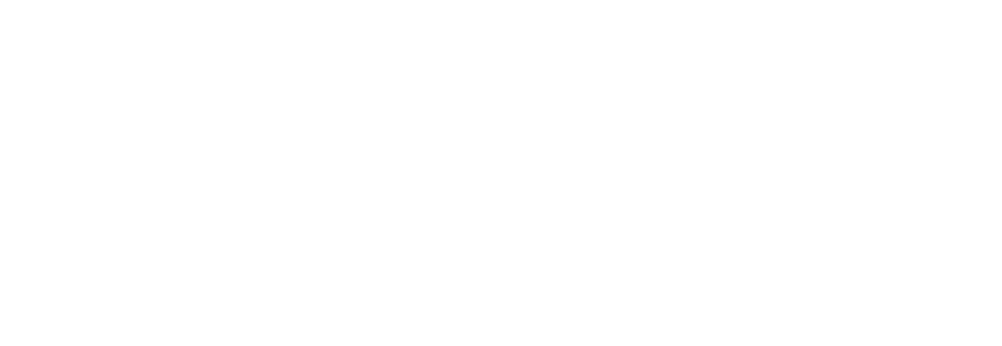 SanDisk Professional logo cool white 