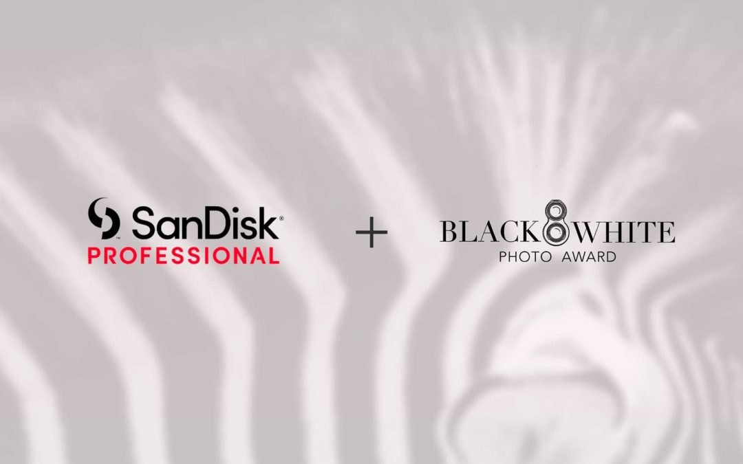 SanDisk Professional joins the Black and White Photo Awards 2024.