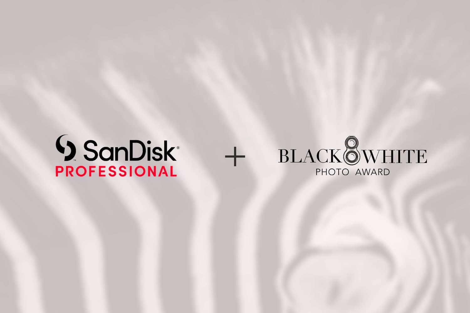 SanDisk Professional Impulsa los Black and White Photo Awards 2024.