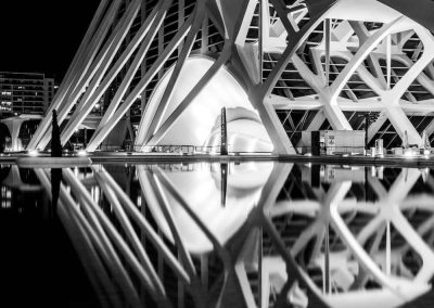 Alexandre Evrard - Ciudad de las Artes y las Ciencias