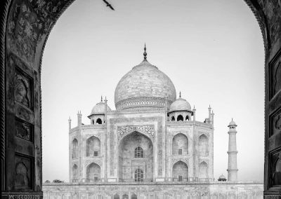 Julian Elliott - Lone flight over the Taj Mahal