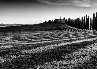 Mark Constable - Poggio Covili Farmhouse