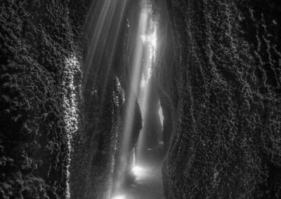 Pavlos Evangelidis - Underwater Cathedral