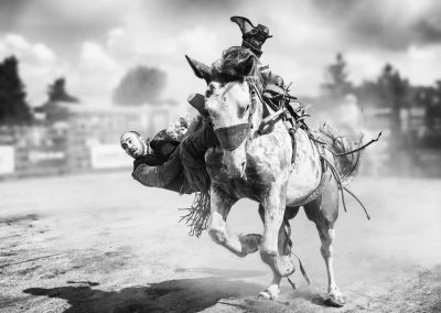 Zhenhuan Zhou - Bucking Horse