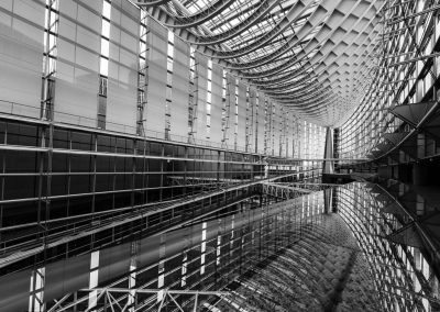 Symphony of Steel and Light , by Kotomi Sakai