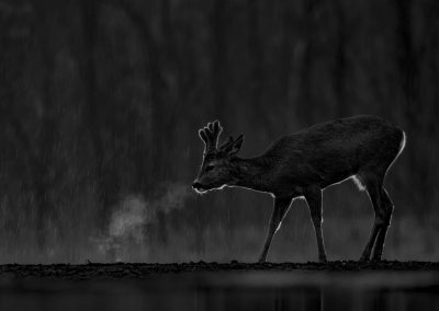 Out in the cold , by Claire Waring