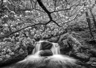 Some Landscape , by Pablo Perez Herrero