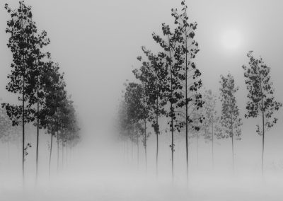 Sunrise in Val Padana , by Paolo Belloni