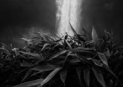 The Rush , by Himadri Bhuyan