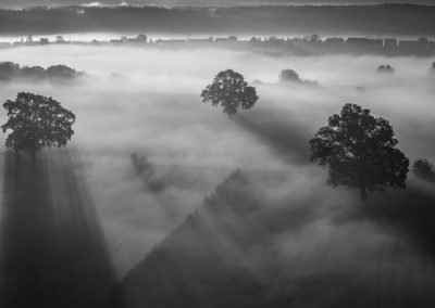The rising , by Markus van Hauten