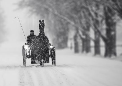 Through the Snowstorm , by Raghuvamsh Chavali