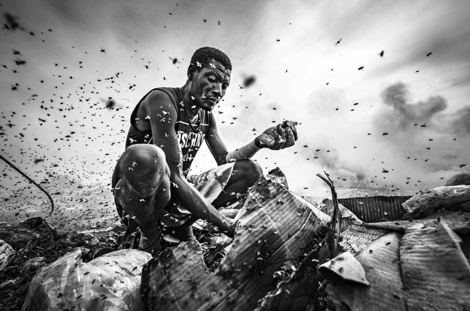 The kingdom of flies , by João Coelho. Absolute Winner of the Black and Whithe Photo Awards 2025