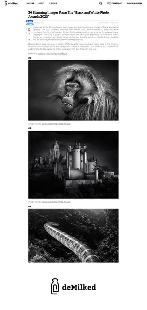 Black and White Photo Awards 2023 in DeMilked
