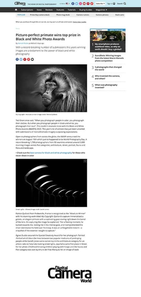 Black and White Photo Awards 2023 in Digital Camera World.