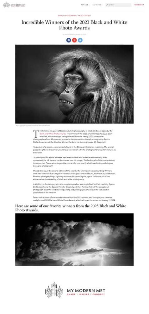 Black and White Photo Awards 2023 in My Modern Met