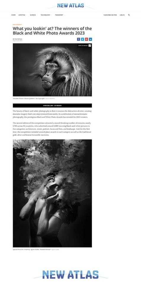 Black and White Photo Awards 2023 in New Atlas
