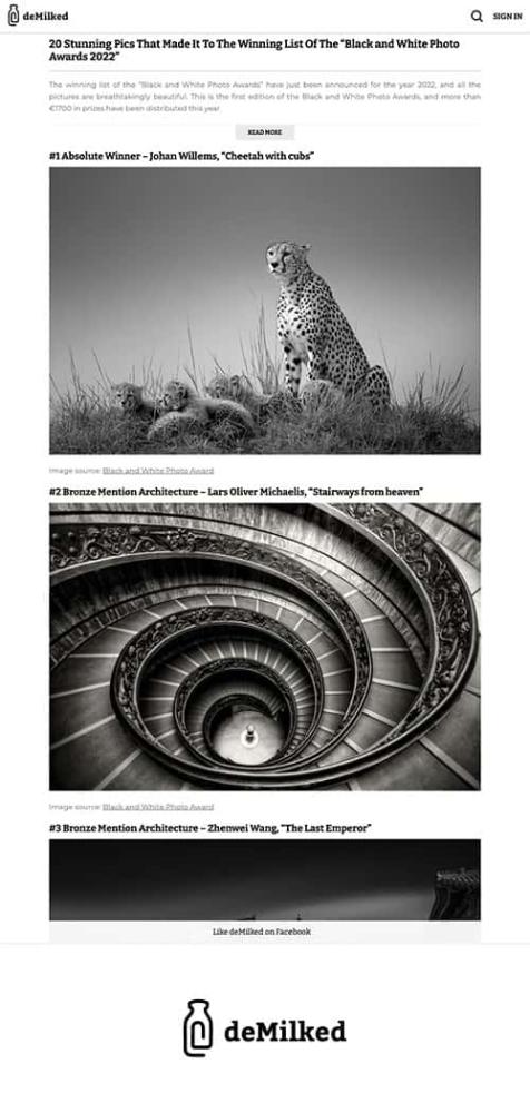 Black and White Photo Awards 2022 in deMilked