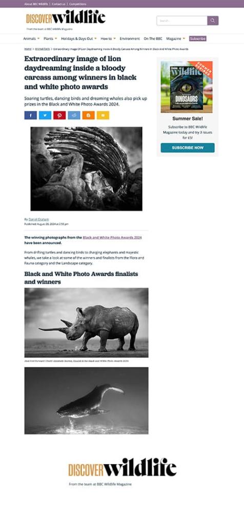 The Black and White Photo Awards 2024 in Discover Wildlife